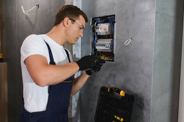 Best Electrician for Home Renovation  in Meridianville, AL